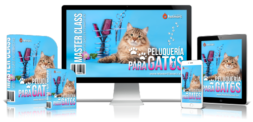 Peluquería para Gatos
