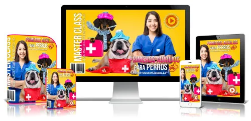 Primeros Auxilios para Perros
