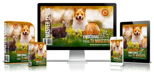 Sanación Emocional para tu Mascota