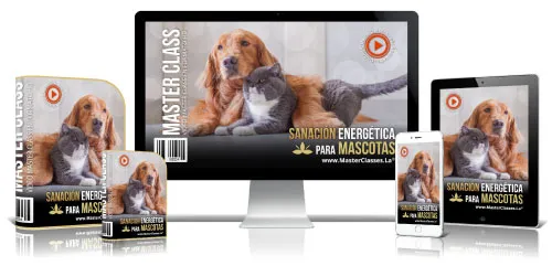 Sanación Energética para Mascotas