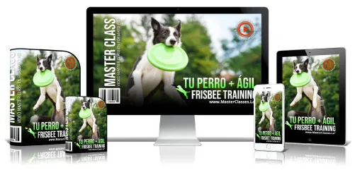 Tu Perro + Ágil. Frisbee Training